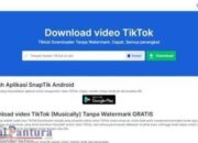 Cara Download Video Viral TikTok Tanpa Aplikasi Tanpa Watermark dengan SnapTik