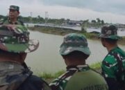 Cegah Abrasi Pantai Kedungkelor, Kodim 0712 Tegal Tanam Ribuan Bibit Mangrove