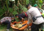 Jasad Perempuan Tak Bernyawa Ditemukan di Semak-semak Desa Langkap Bumiayu Brebes