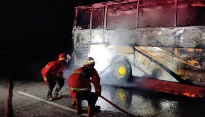 Bawa Rombongan Peziarah, Satu Unit Bus Terbakar di Tol Pejagan-Pemalang