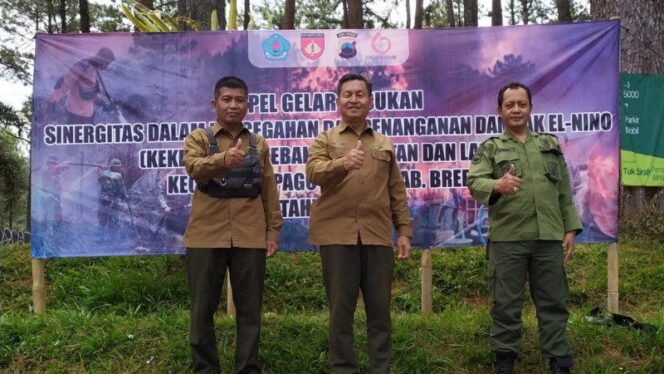 
					Antisipasi Kebakaran Hutan, Perhutani BPKH Paguyangan Patroli Rutin