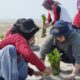 Penanaman pohon mangrove tersebut mulai dari Pulau Pari, Pesisir Belitung, Pesisir Trimulyo, Pesisir Untia, hingga Teluk Benoa yang rentan terhadap ancaman abrasi.