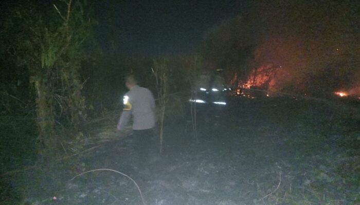 Lahan Bekas Pabrik Gula Kersana Brebes Terbakar, 1 Unit Damkar Dikerahkan