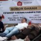 Kepala Cabang Kabupaten Brebes 2 FIF Grup Tomy Ferbandes ikut mendonorkan darahnya.