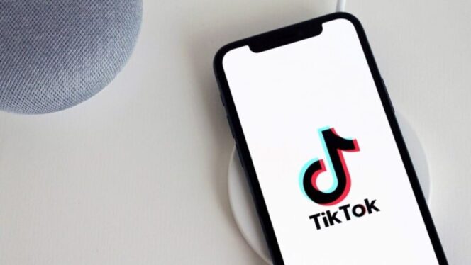 
					TikTok. Foto: antonbe / Pixabay.