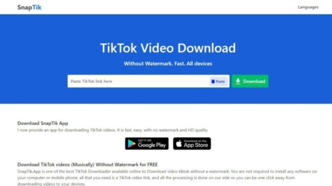 
					Layar laman SnapTik untuk download video TikTok tanpa watermark.