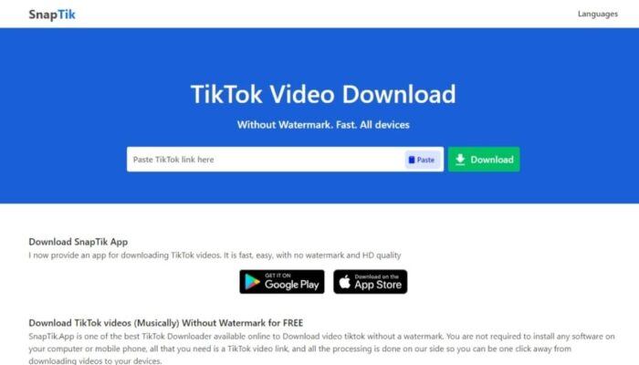 Buka Laman snaptik.app untuk Download Video TikTok Tanpa Watermark