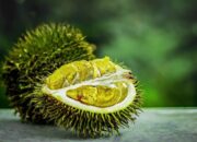 Makan Durian Bisa Membuat Perasaan Jadi Rileks, Dampak Buruknya…