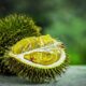 Ilustrasi durian. (Foto: Pixabay)