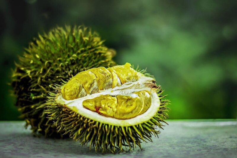 Ilustrasi durian. (Foto: Pixabay)