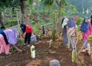 Jelang Ramadhan, Warga Desa Langkap Bersih-bersih Makam