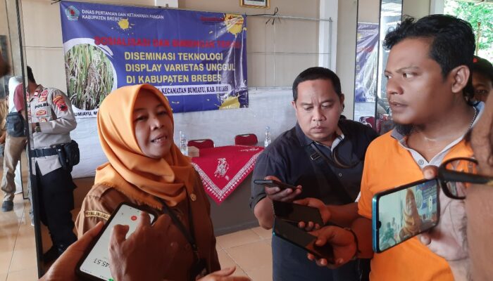 Masih Dibawah Nasional, Dinas Pertanian Kabupaten Brebes Terus Genjot Produksi Pertanian