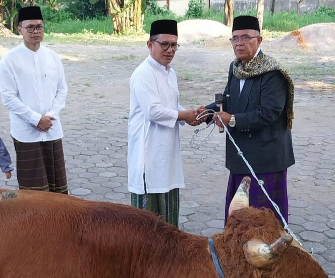 
					Kominfo Nyatakan Jumlah Hewan Kurban Idul Adha di Kabupaten Tegal Tercatat 1524 Sapi dan 4012 Kambing