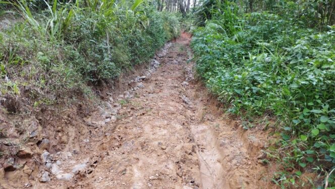 
					Sudah lebih dari 20 tahun jalan ini rusak, dan belum ada perbaikan.