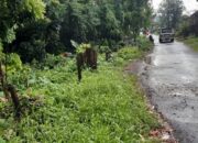 Jalan Menuju Wisata Tuk Sirah Pemali Butuh Perhatian