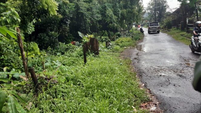 
					Jalan Menuju Wisata Tuk Sirah Pemali Butuh Perhatian