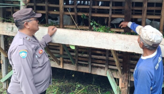 Kapolsek Tegal Barat Imbau Para Peternak Waspada Penyakit Mulut dan Kuku