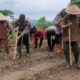 VIDEO: Penanaman Jagung Serentak