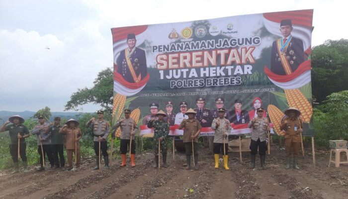 Polres Brebes Tanam Jagung di Lahan Tidur untuk Ketahanan Pangan