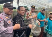 Ketahanan Pangan Polsek Paguyangan dan Dinas Perikanan Brebes Sukses Panen Lele Tahap Pertama, Perkuat Ketahanan Pangan