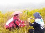 Reboisasi Massal, 1.500 Pohon Ditanam Sambut Ramadhan di Desa Pandansari